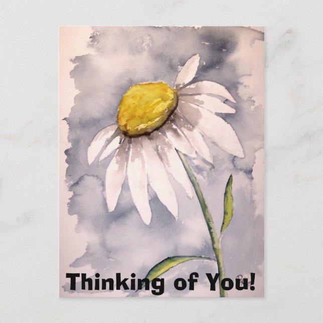 daisy, Thinking of You! Postcard (Front)