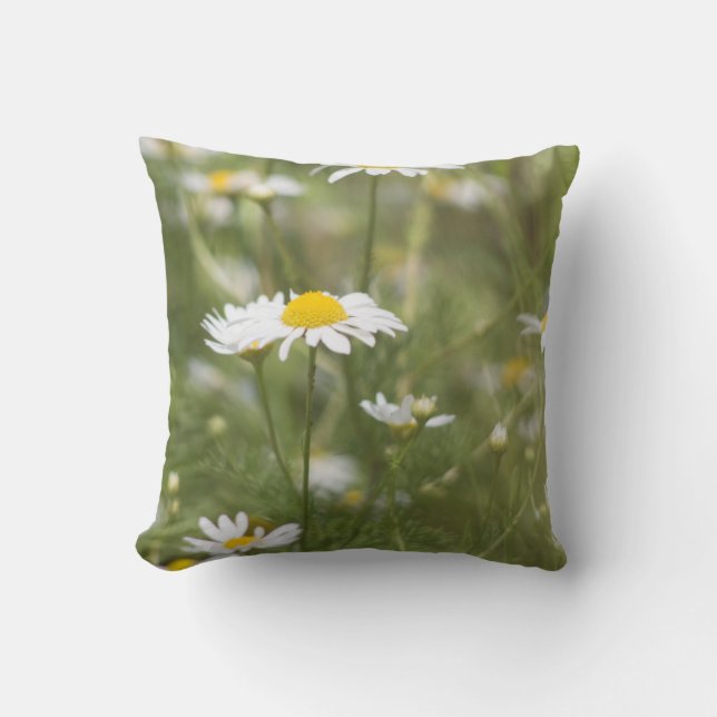 Daisy Throw Pillow (Front)