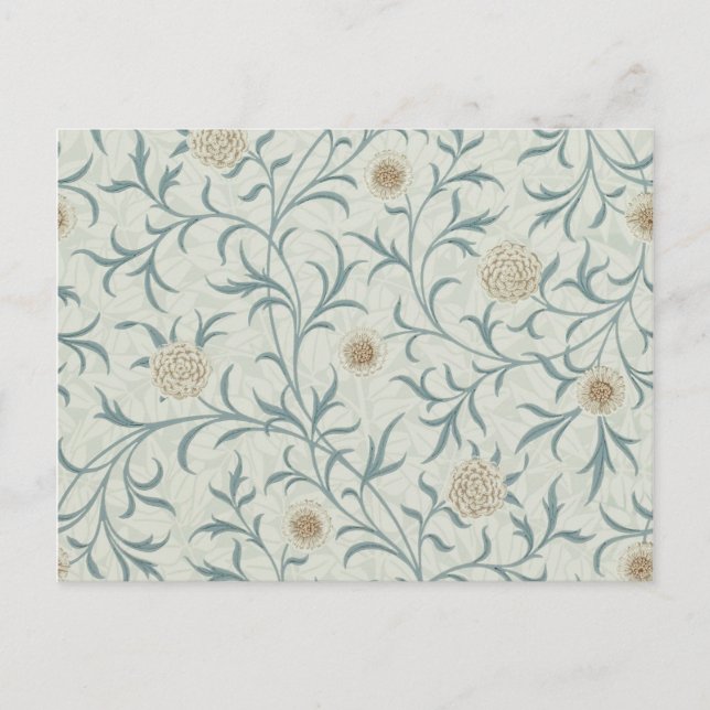 Daisy, William Morris Postcard (Front)