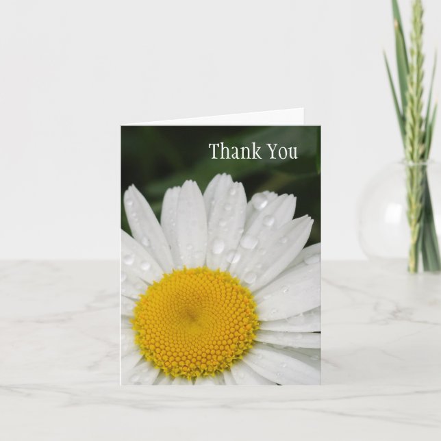 Daisy with Rain Drops All Occasion Notecard (Front)