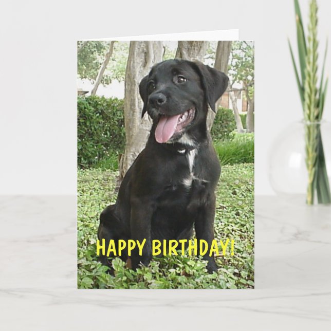 Dakota - Bonne carte d'anniversaire (Devant)