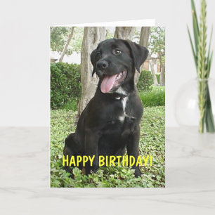 Dakota - Bonne carte d'anniversaire