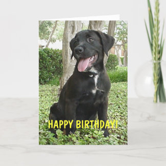 Dakota - Bonne carte d'anniversaire