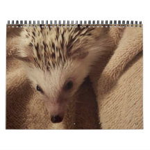 Dakota,Gizmo & Friends!