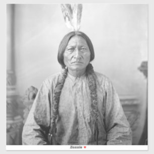 Dakota Leader Sitting Bull Native American Indian