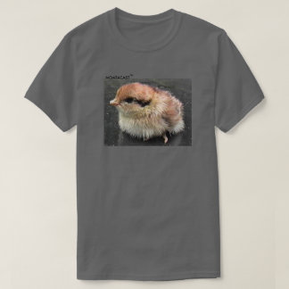 Dale's Grouse Chick Men's T-Shirt