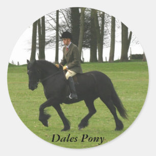 Dales Pony Sticker