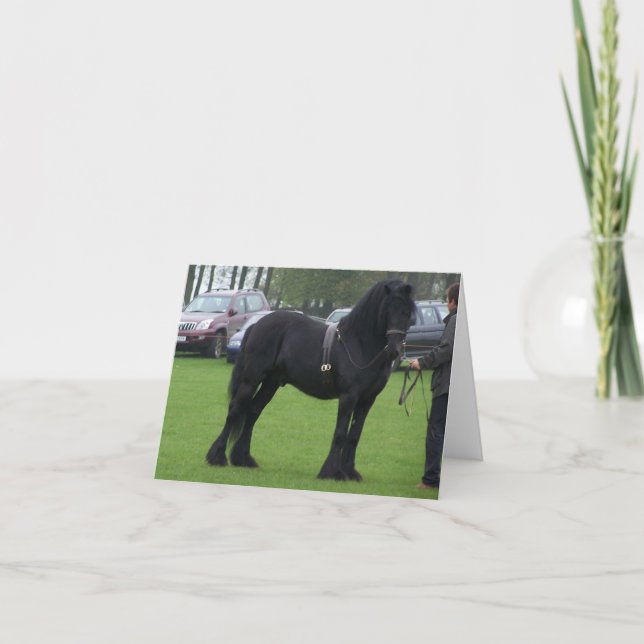 Dales stallion note cards (Front)