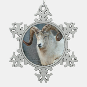 Dall Sheep Ornament