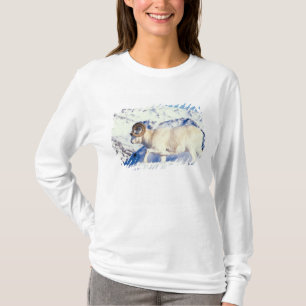 dall sheep, Ovis dalli, full curl ram T-Shirt