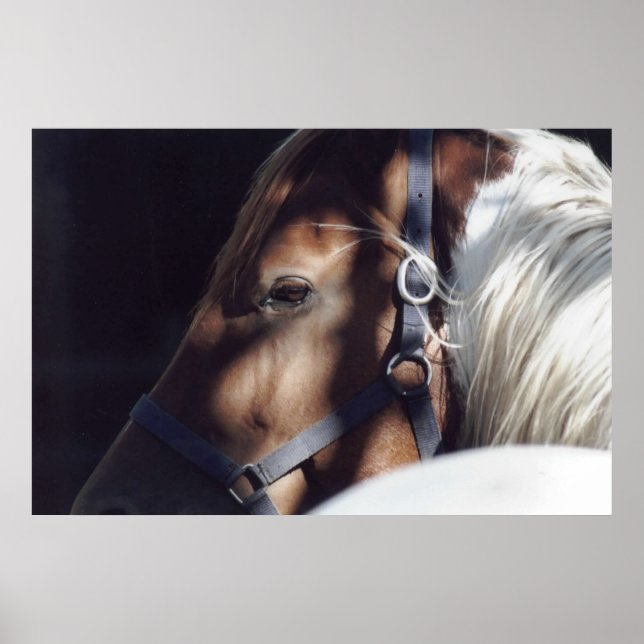 Dallas Print (Front)