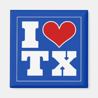 Dallas (TX) Football Watch Party Fridge Magnet