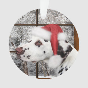 Dalmate de Noël