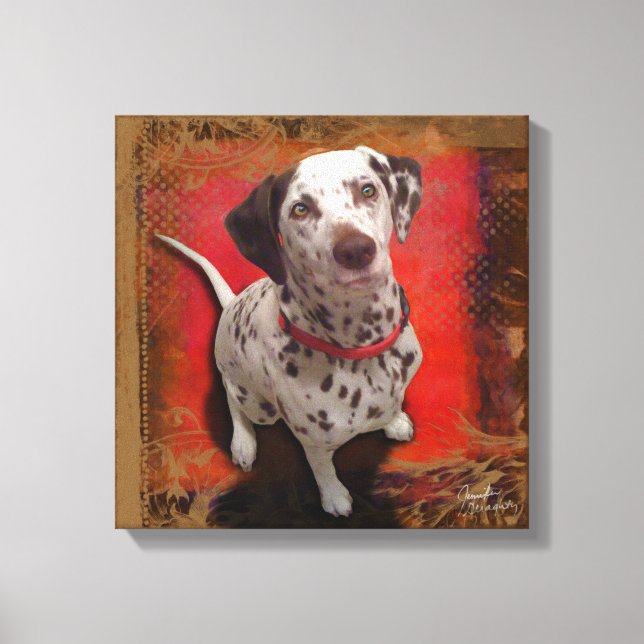 Dalmatian 14x14 Stretched Canvas Print (Front)