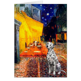 Dalmatian 1 - Terrace Cafe