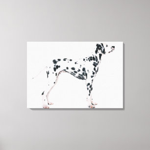 Dalmatian 2 canvas print