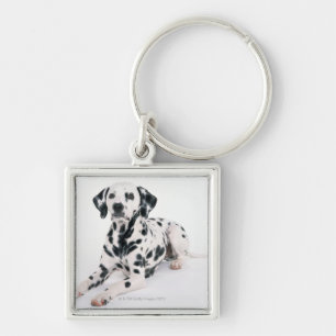 Dalmatian 4 keychain