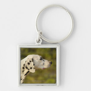 Dalmatian 4 keychain