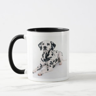Dalmatian 4 mug