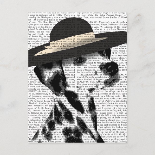 Dalmatian and Brimmed Black Hat Postcard (Front)