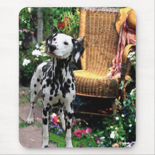 Dalmatian Art Gifts Mouse Pad
