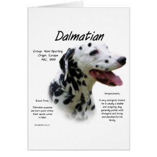 Dalmatian (blk) History Design