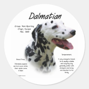 Dalmatian (blk) History Design Classic Round Sticker