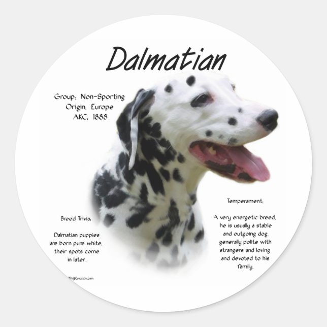 Dalmatian (blk) History Design Classic Round Sticker (Front)