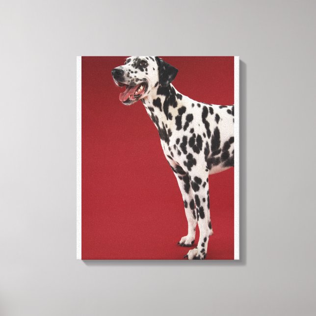 Dalmatian Canvas Print (Front)