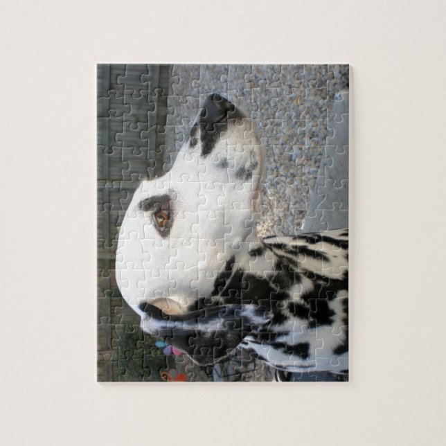 Dalmatian - Cindy's Reina Jigsaw Puzzle (Vertical)