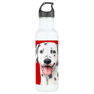Dalmatian Color Block 710 Ml Water Bottle