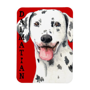 Dalmatian Color Block Magnet