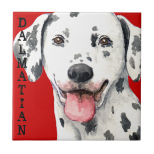 Dalmatian Colour Block Tile