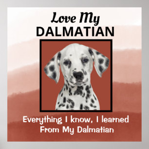Dalmatian Custom Poster