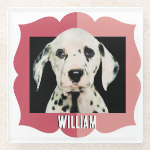 Dalmatian customized pattern photo frame glass coaster