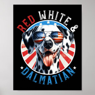 Dalmatian Dog 4th Of July Red White And Dal Lovers Poster