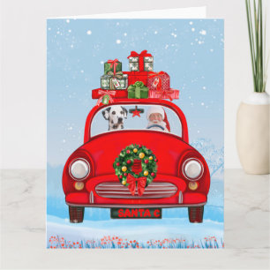 Dalmatian Dog In Car With Santa Claus  Card