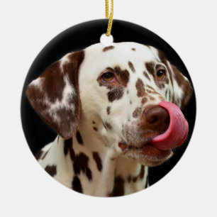 Dalmatian Dog Licking Ceramic Ornament