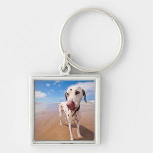 Dalmatian Dog On Beach Keychain