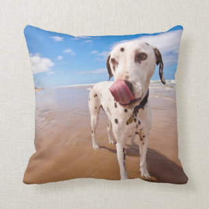 Dalmatian Dog On Beach Throw Pillow
