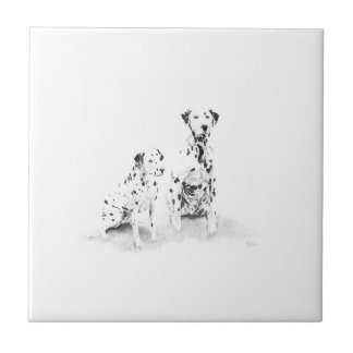 Dalmatian Dog Portrait Ceramic Tile