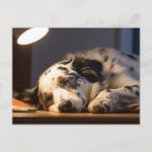 DALMATIAN DOG SLEEPING POSTCROSSING