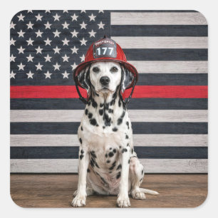 Dalmatian Dog Wearing a Fireman Helmet Square Sticker
