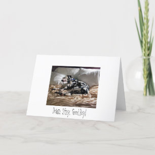 Dalmatian.  Down.  Stay.  Good Boy! Card