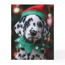 Dalmatian Elf Puppy Christmas Card 