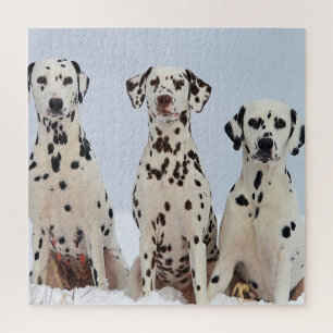 Dalmatian Family Portrait Jigsaw Puzzle