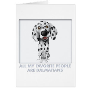 Dalmatian Favourite