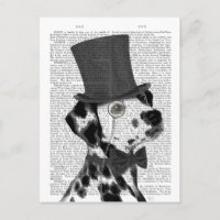 Dalmatian, Formal Hound and Hat