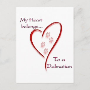 Dalmatian Heart Belongs Postcard
