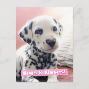 Dalmatian Heart Nose Invitation Postcard